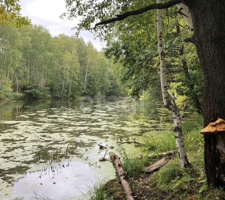 земля р-н Чкаловский г Чкаловск пл Комсомольская фото 8