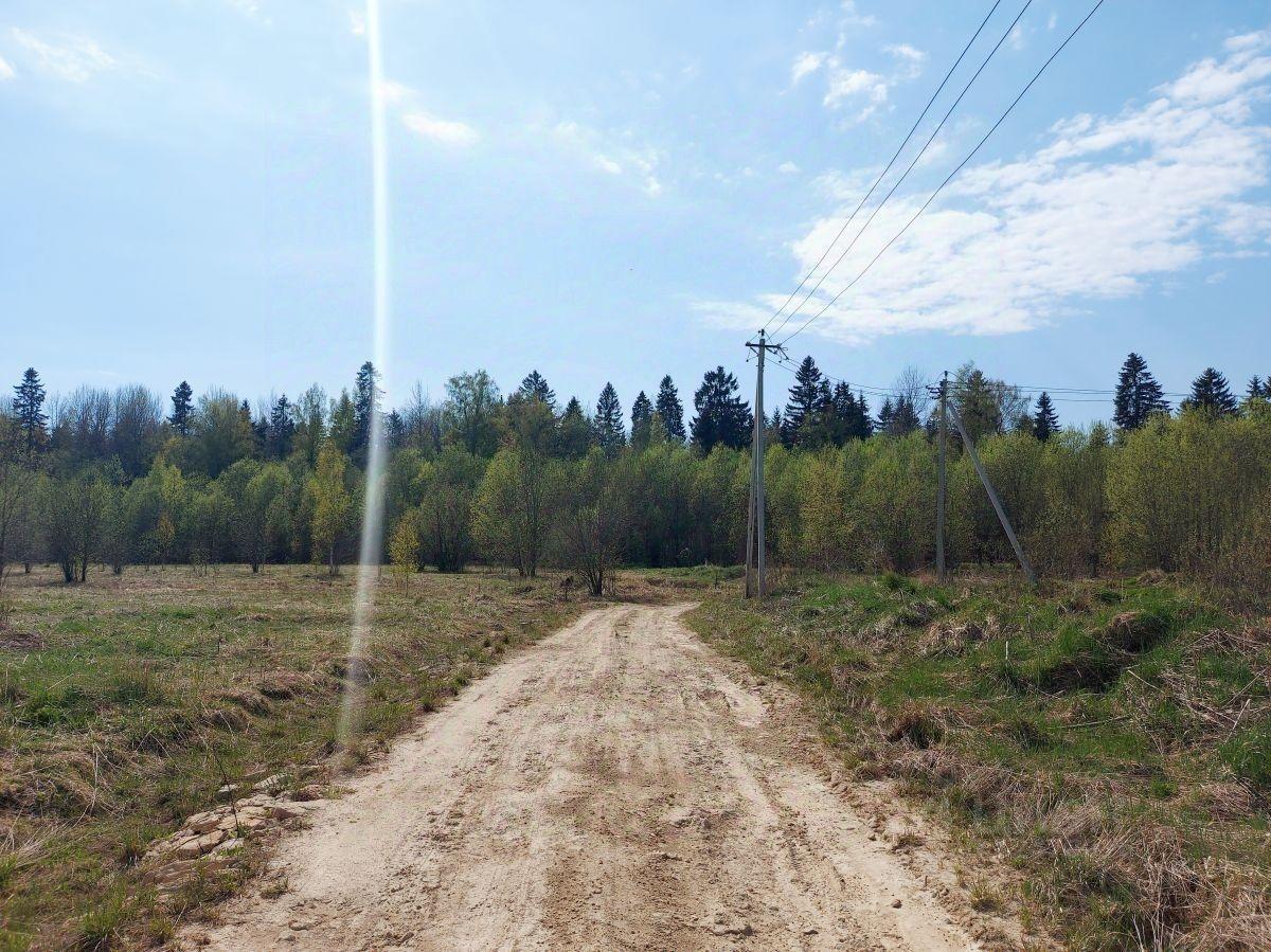 земля р-н Волосовский д Бегуницы Клопицкое сельское поселение, «Нарва» фото 1