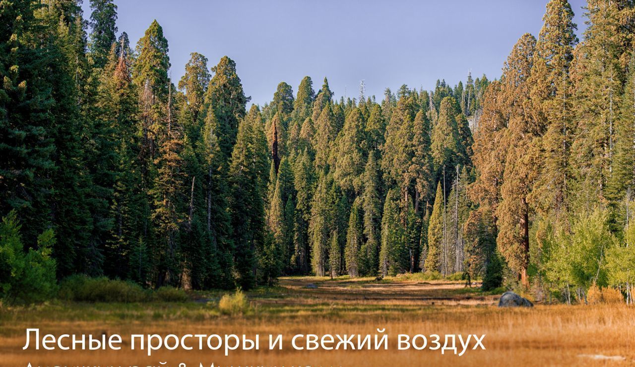 земля городской округ Серпухов д Гавшино Серпухов фото 9