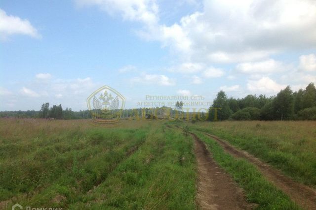 с Кунгурка городской округ Ревда, Урочище Дегтяные фото