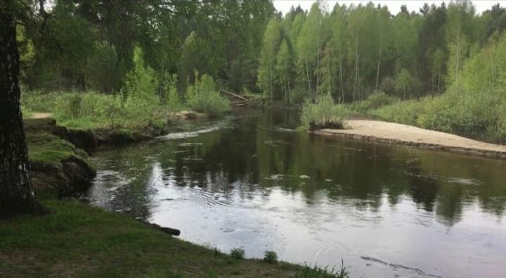 земля р-н Павловский п Новые Зори ул Молодежная фото 1