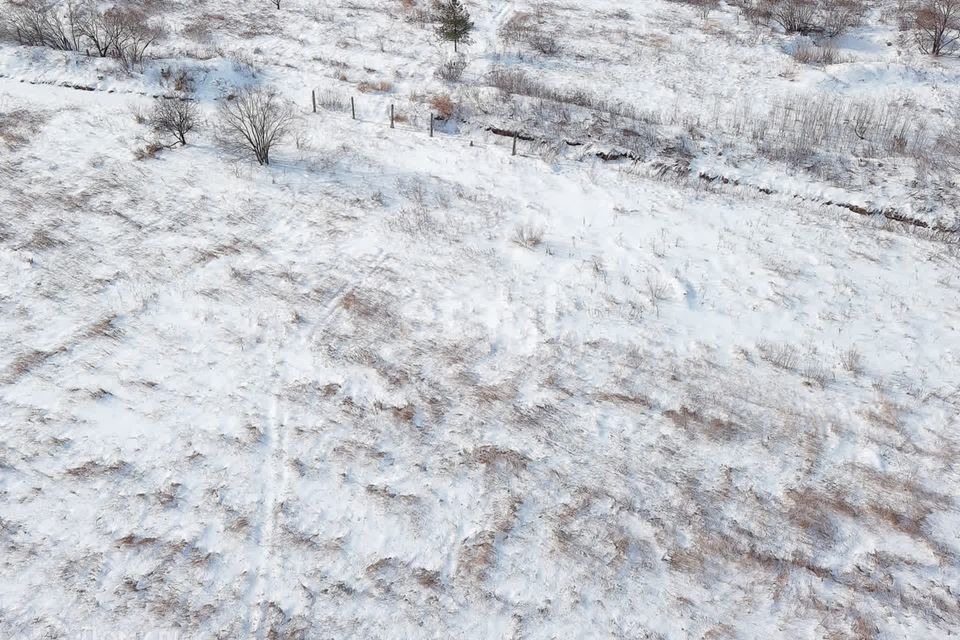 земля г Хабаровск СДТ Луч, городской округ Хабаровск фото 5