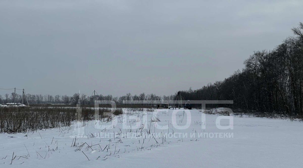 земля р-н Новоусманский с Новая Усмань Соловьиный мкр фото 2