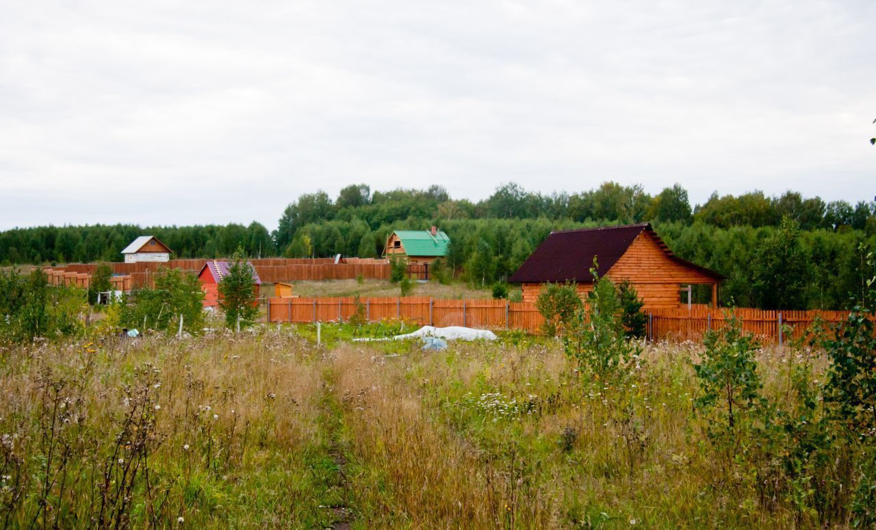 земля р-н Новосибирский с Гусиный Брод Раздольненский сельсовет, Новосибирск фото 1