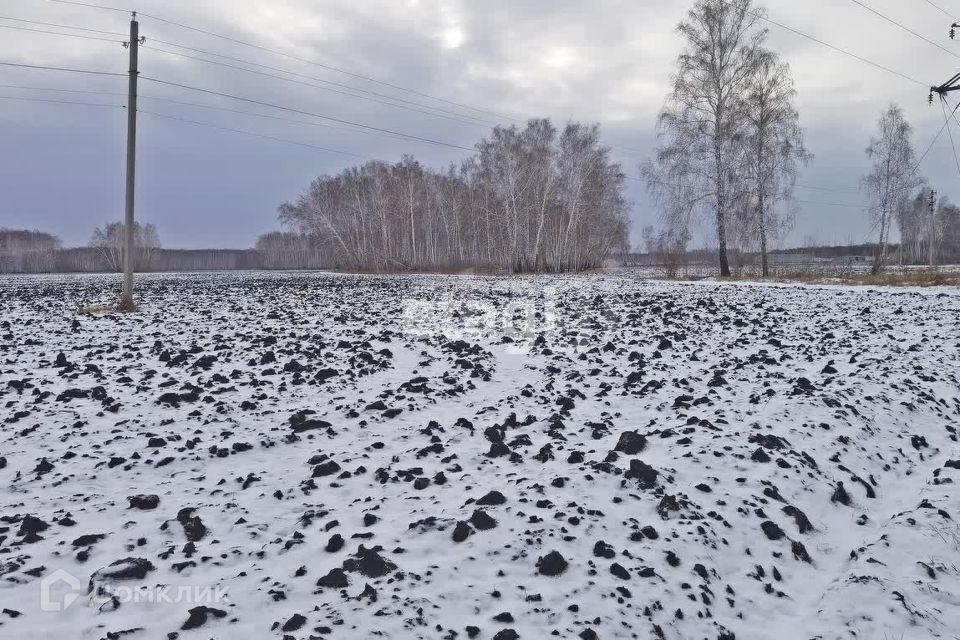 земля г Омск городской округ Омск, территория СОСН Заря-3 фото 10