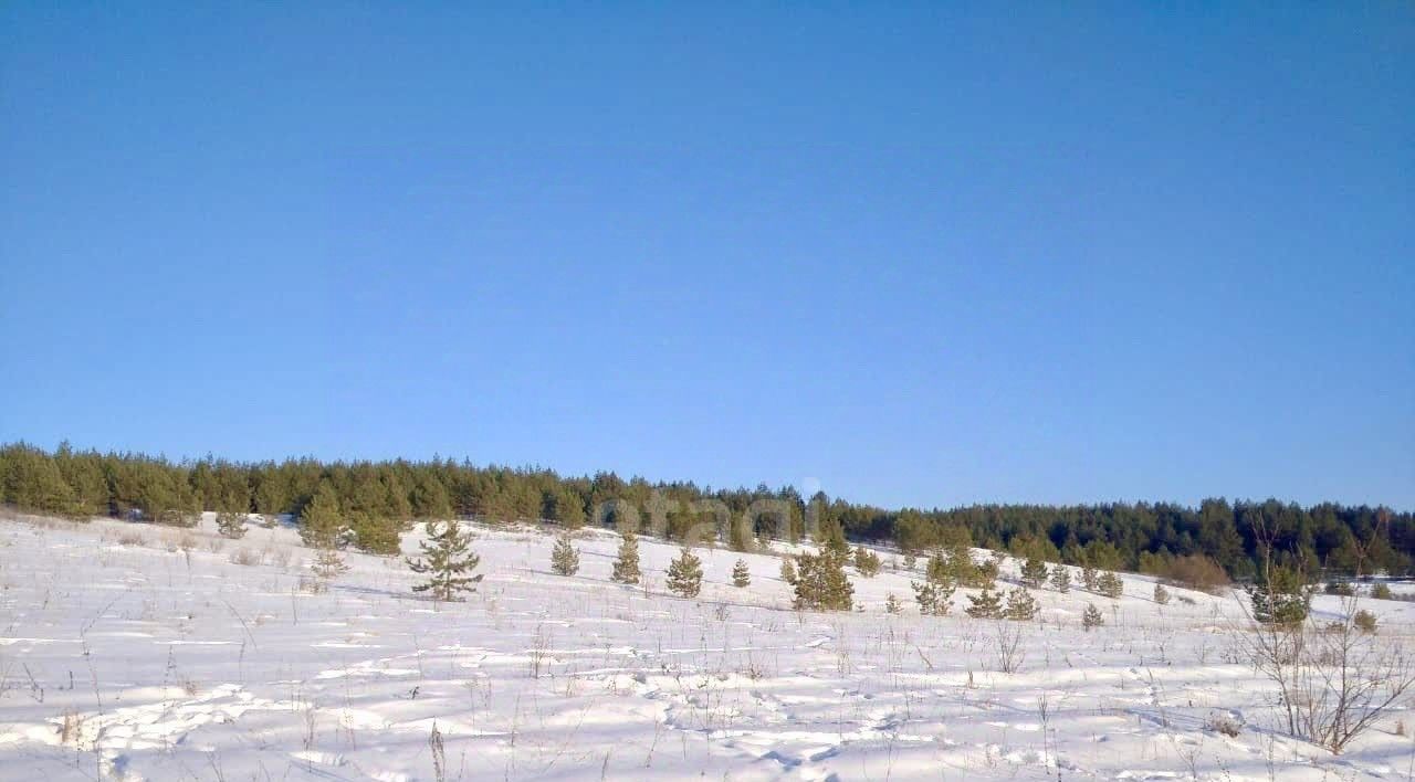 земля р-н Тереньгульский с Подкуровка Подкуровское с/пос фото 3