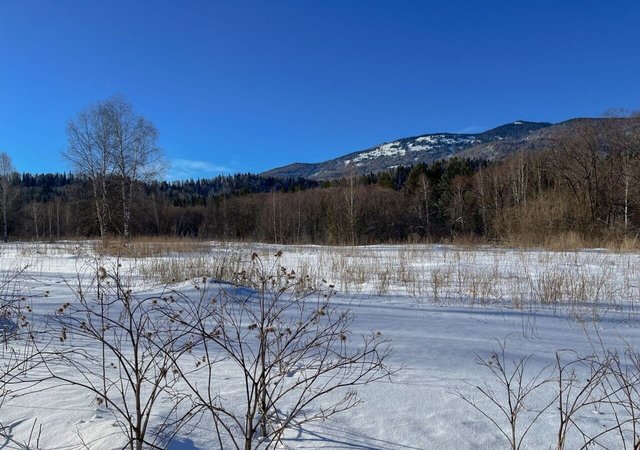 земля Горно-Алтайск фото