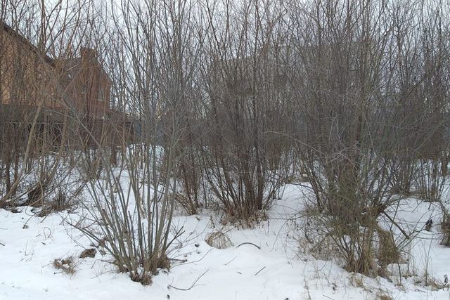 ул Половецкая городской округ Ростов-на-Дону фото