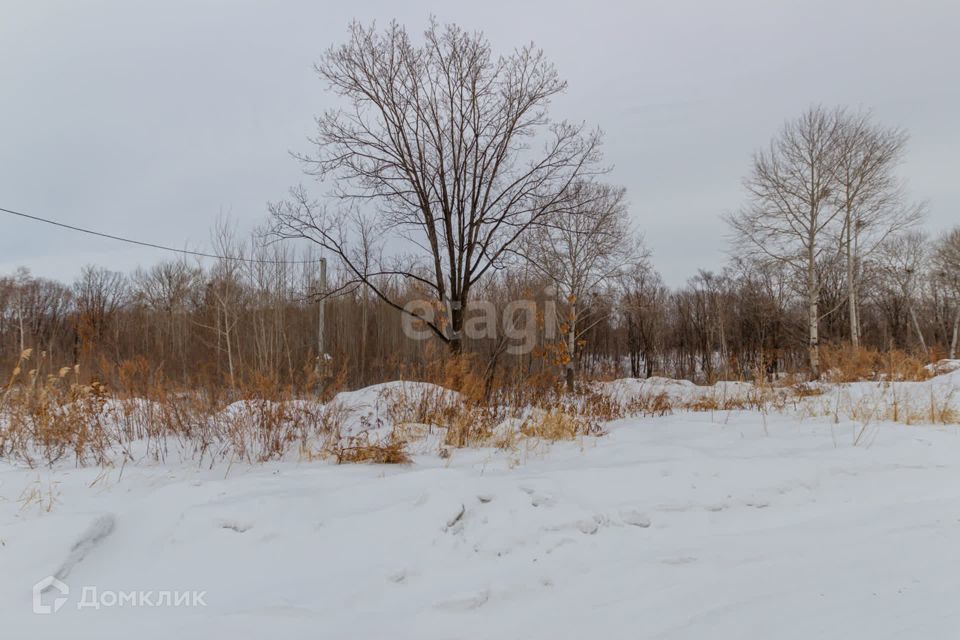 земля р-н Хабаровский село Краснореченское фото 3