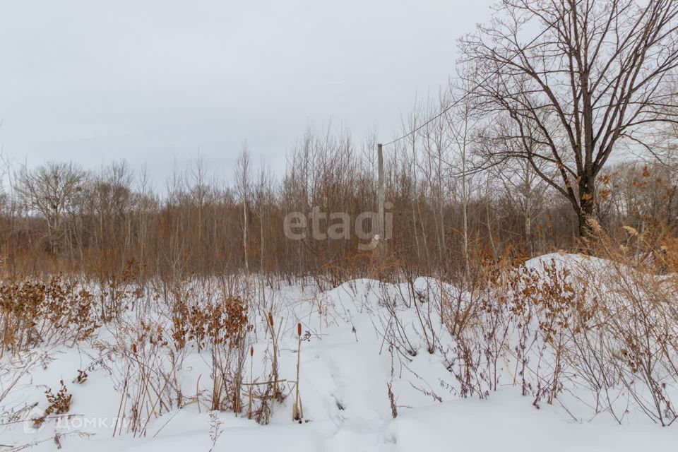 земля р-н Хабаровский село Краснореченское фото 2