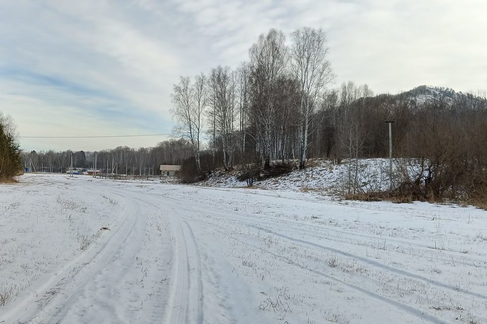 земля р-н Майминский посёлок Черемшанка фото 3