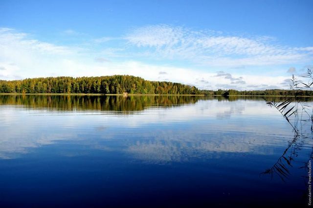 деревня Дубровка фото