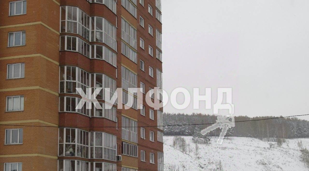 квартира г Новосибирск Речной вокзал ул Заречная 5 микрорайон «Весенний» фото 15
