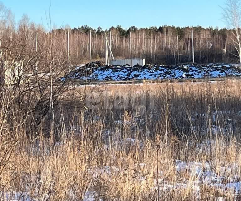 земля г Благовещенск ш Игнатьевское городской округ Благовещенск фото 2