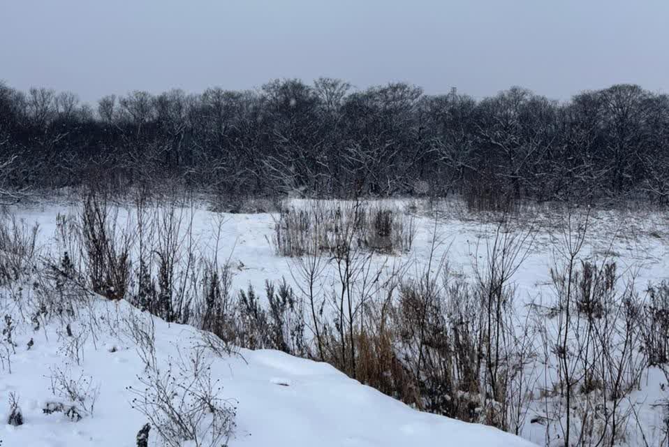 земля г Южно-Сахалинск городской округ Южно-Сахалинск, район Шанхай фото 1