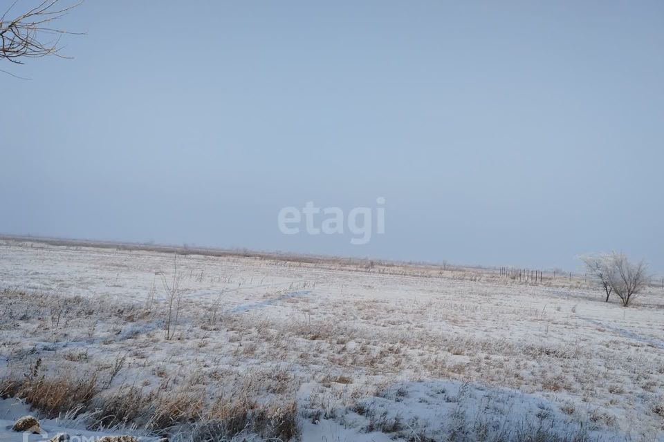земля р-н Алтайский деревня Кайбалы фото 1