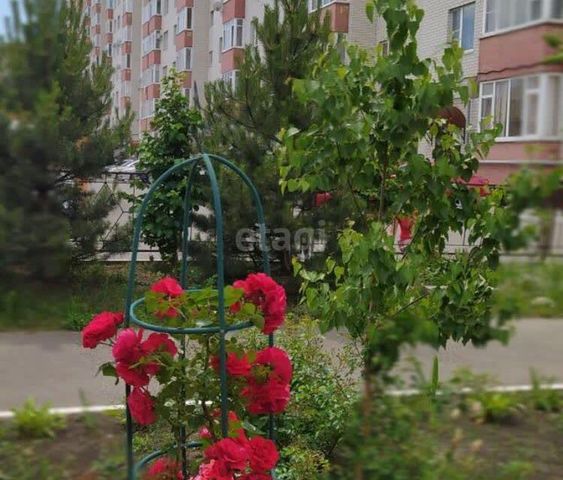 ул Рогожникова 2 городской округ Ставрополь фото