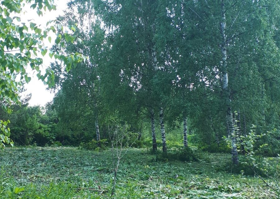 земля городской округ Можайский садоводческое некоммерческое товарищество Сокольниково фото 6