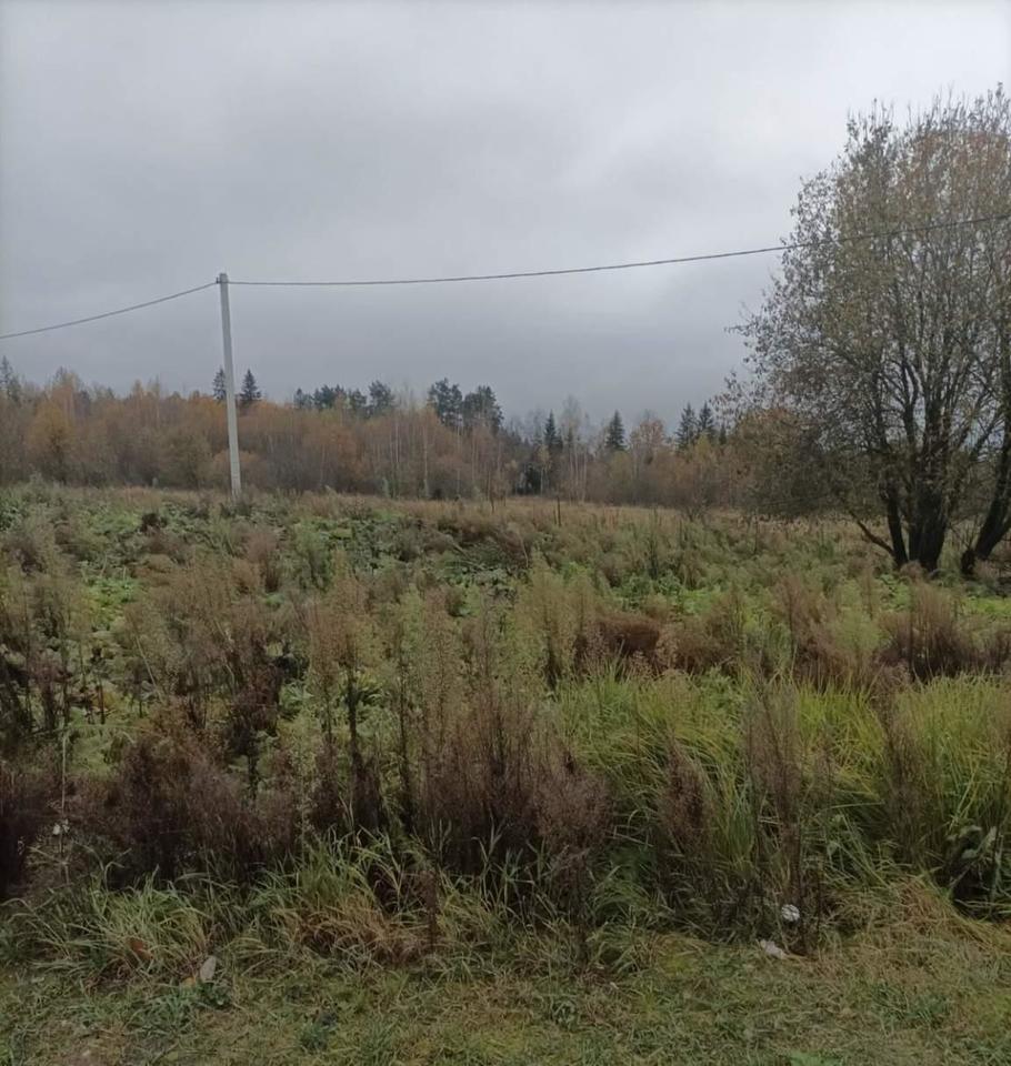 земля направление Рижское (северо-запад) ш Новорижское городской округ Истра, Сычево фото 4