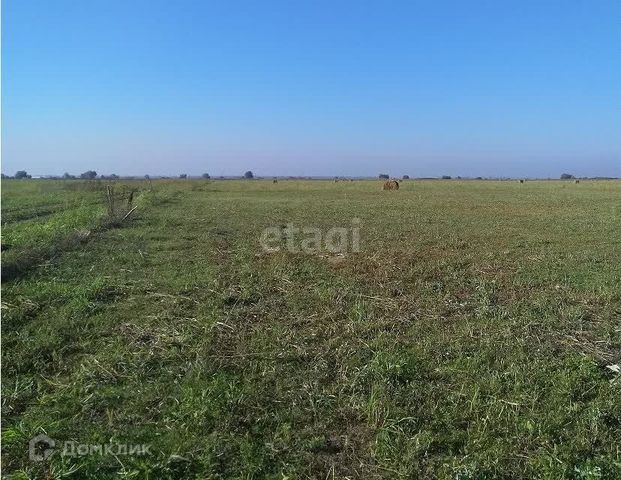 земля с Светлое ул Восточная фото