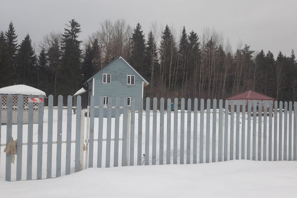 дом р-н Новгородский деревня Пятница фото 2