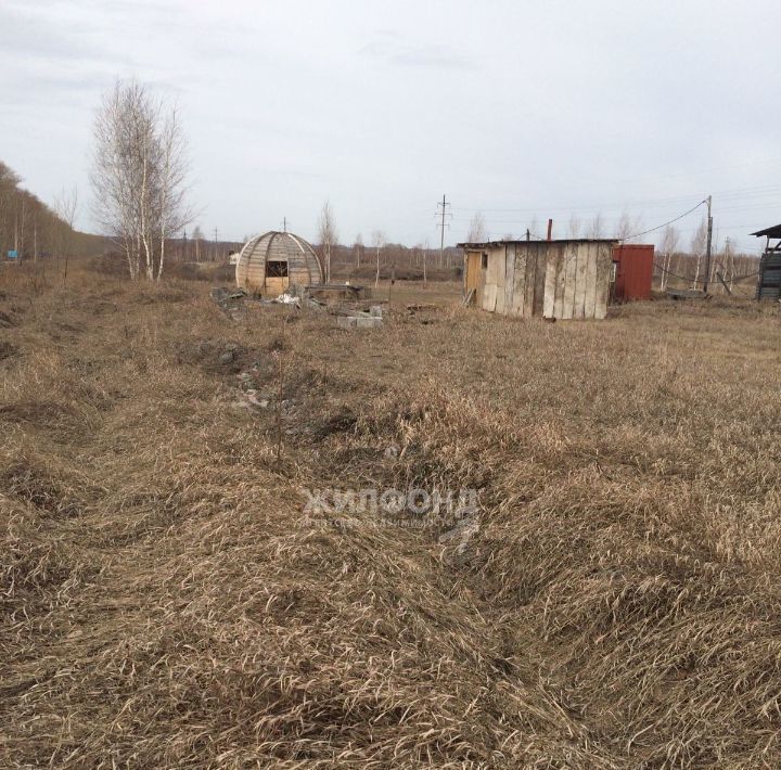 офис р-н Новосибирский Морской сельсовет, Новониколаевский кп, Экострой кв-л фото 5