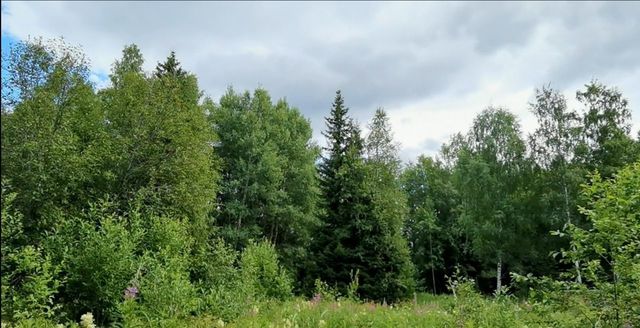 Селезнёвское сельское поселение, садовые участки фото