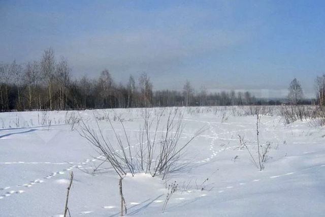 городской округ Октябрьский, микрорайон Южный фото