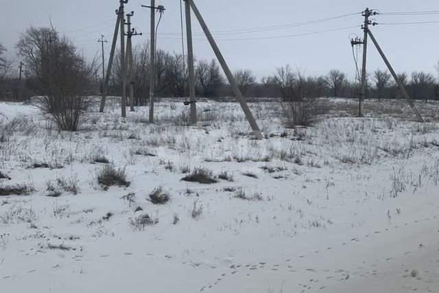 село Звонаревка фото