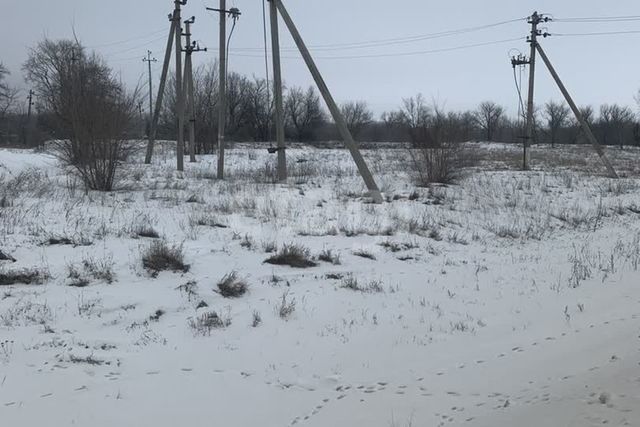 земля село Звонаревка фото