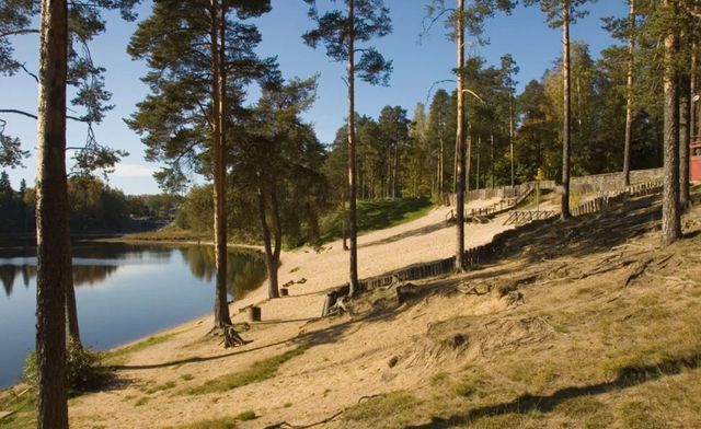 Рощинское городское поселение, городской пос. Рощино фото