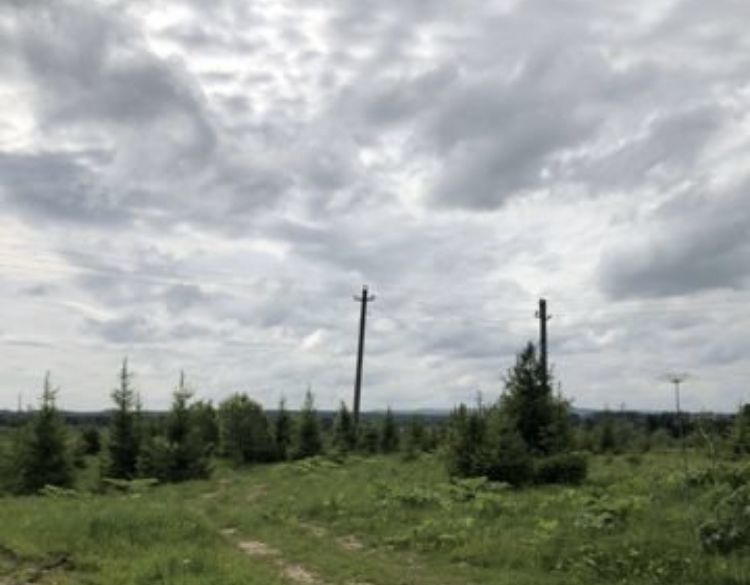 земля г Краснокамск с Стряпунята фото 2