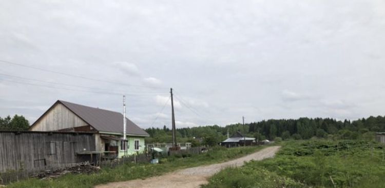 земля г Краснокамск с Стряпунята фото 4