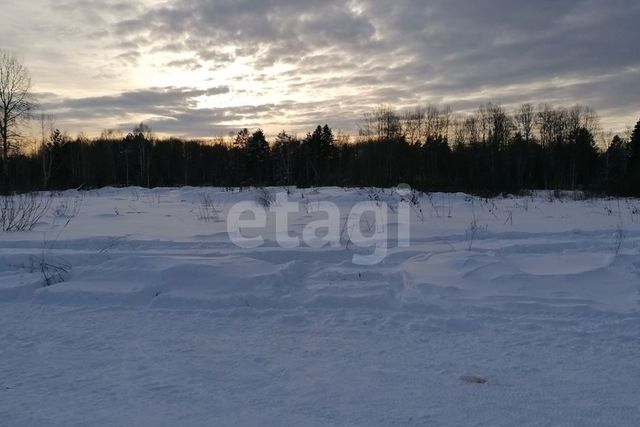 земля ул Зои Космодемьянской Алапаевск, муниципальное образование фото