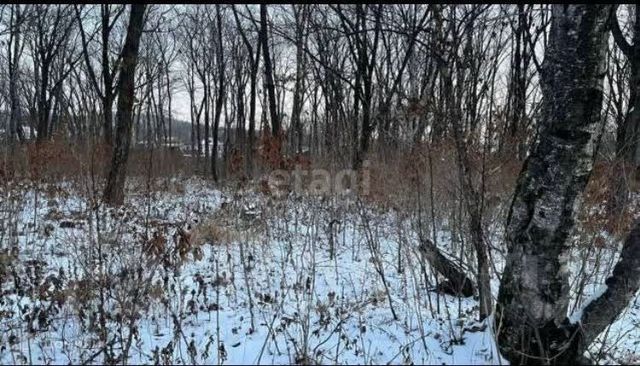 земля Владивостокский городской округ фото