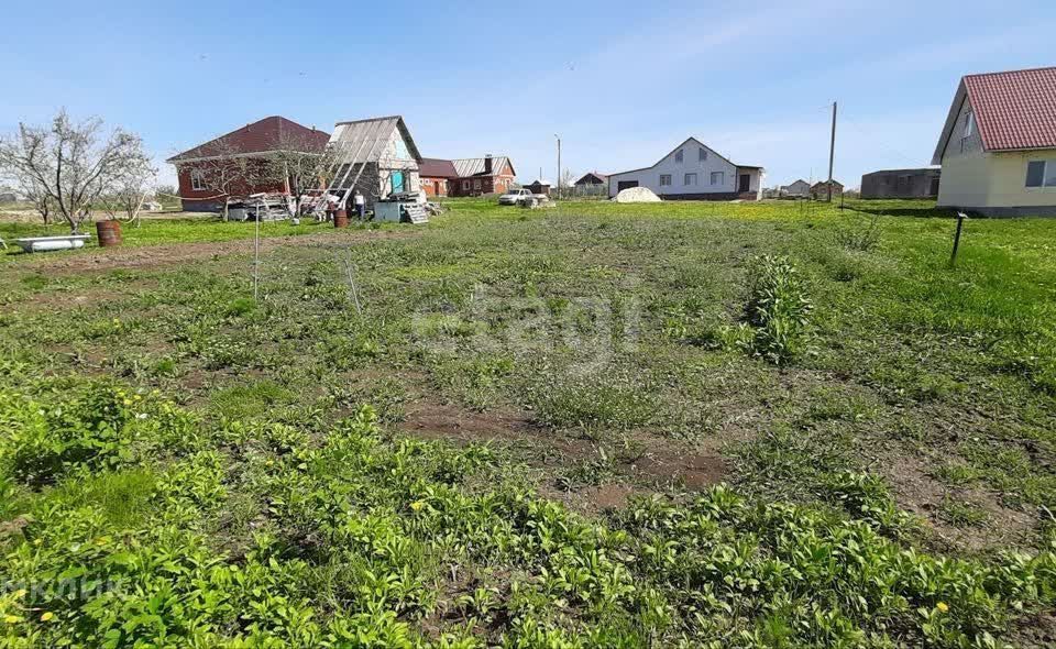 земля р-н Белгородский с Крутой Лог ул Русская фото 6