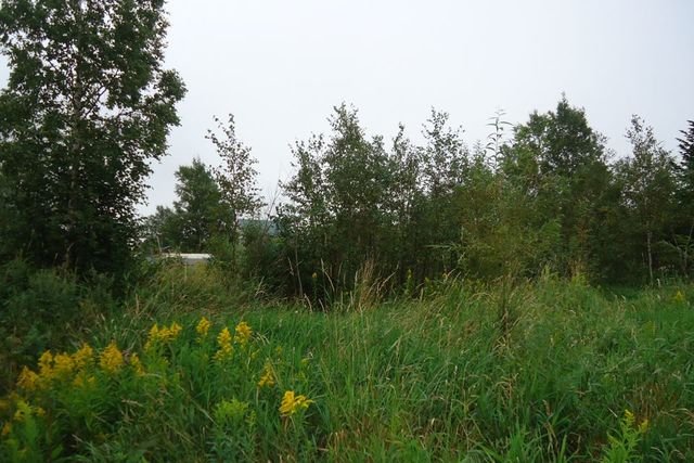 земля городской округ Южно-Сахалинск фото