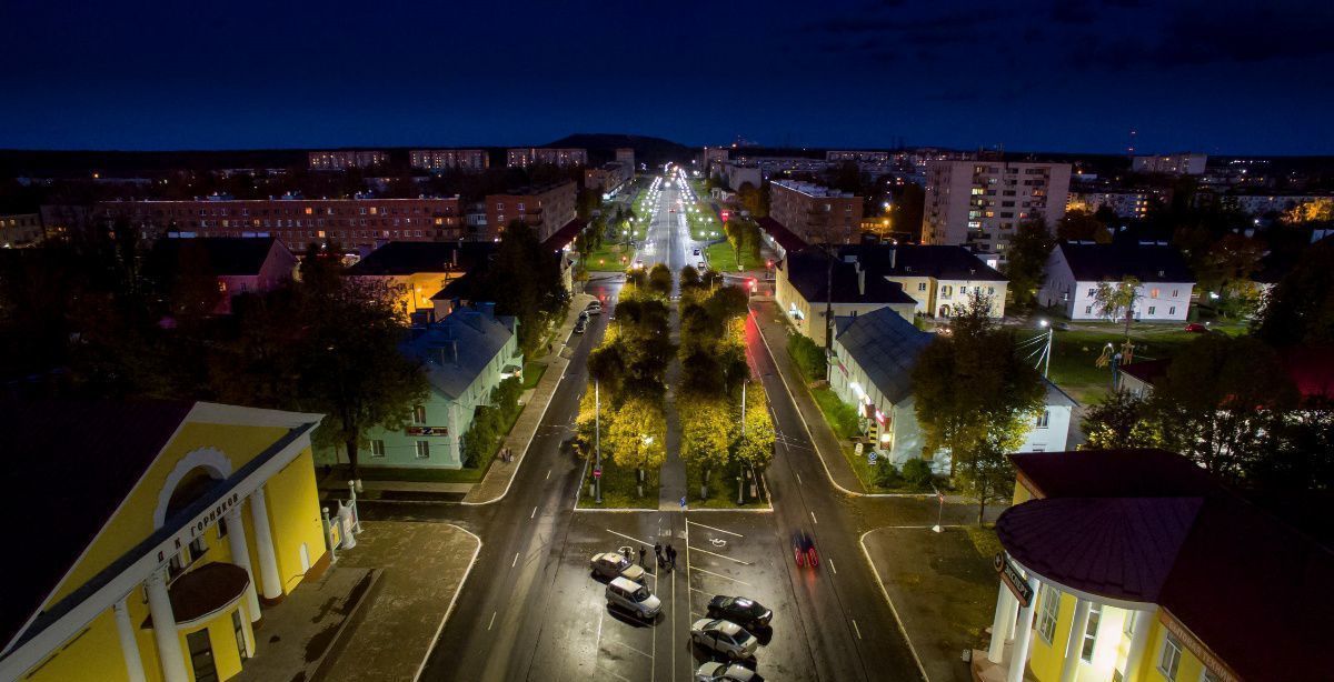 земля г Санкт-Петербург метро Проспект Ветеранов Таллинское ш., 112 фото 1