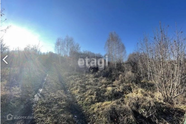 городской округ Горно-Алтайск, садоводческое товарищество Берёзовая роща фото