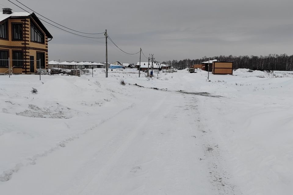 земля г Барнаул с Власиха ул Десантников муниципальное образование Барнаул фото 2
