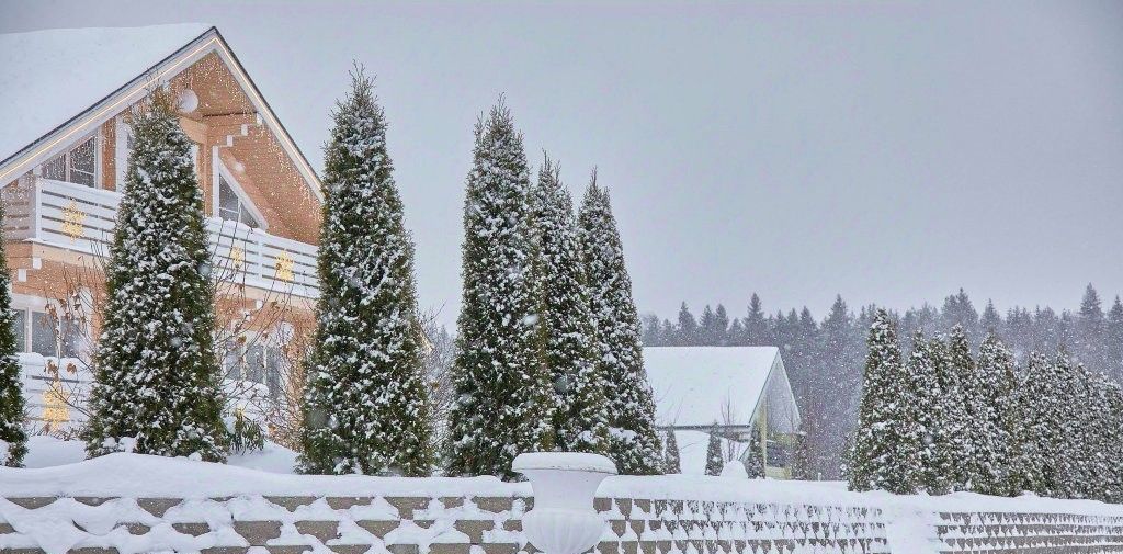 комната г Санкт-Петербург п Парголово р-н Выборгский Приозерское ш., 10к 1 фото 3