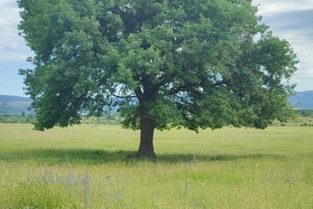 Балаклавский район, село Павловка фото