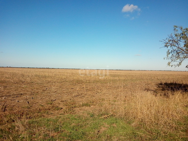 земля р-н Симферопольский с Равнополье фото 1