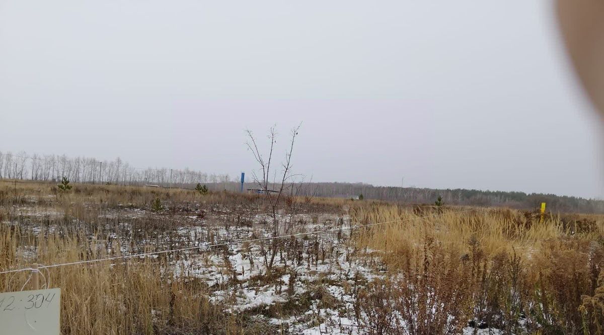 земля р-н Чишминский с Алкино-2 сельсовет, Лесной фото 5
