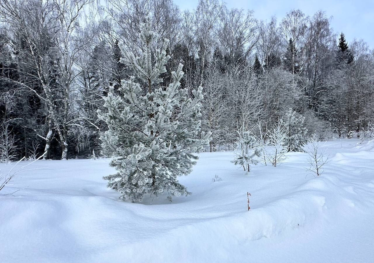 земля городской округ Истра д Сафонтьево Истра фото 12