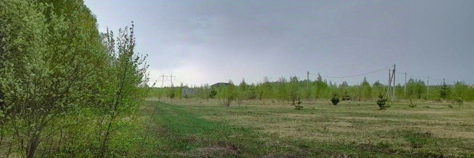 земля р-н Зеленодольский с Большие Кургузи Большекургузинское с/пос фото 5