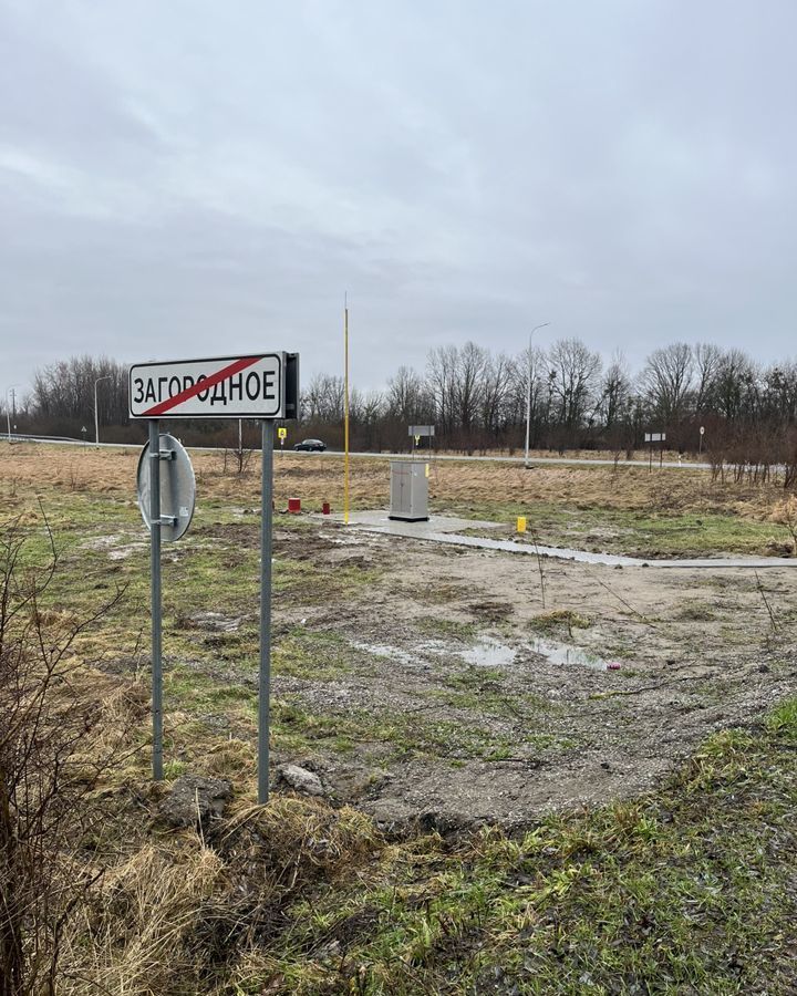 земля р-н Багратионовский п Загородное ул Центральная Багратионовск фото 4