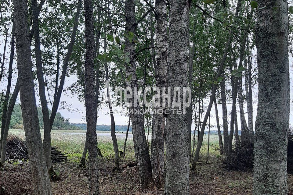 земля р-н Приозерский Ромашкинское сельское поселение фото 4