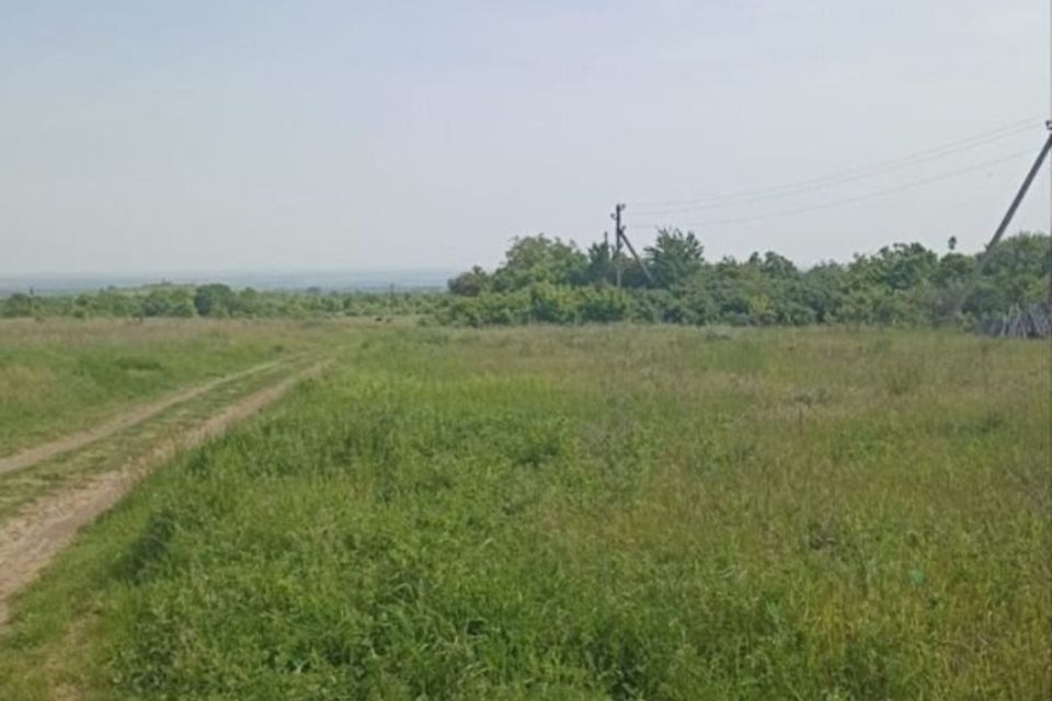 земля р-н Крымский село Молдаванское фото 1