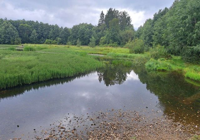 посёлок Большие Лучки Сланцевское городское поселение фото